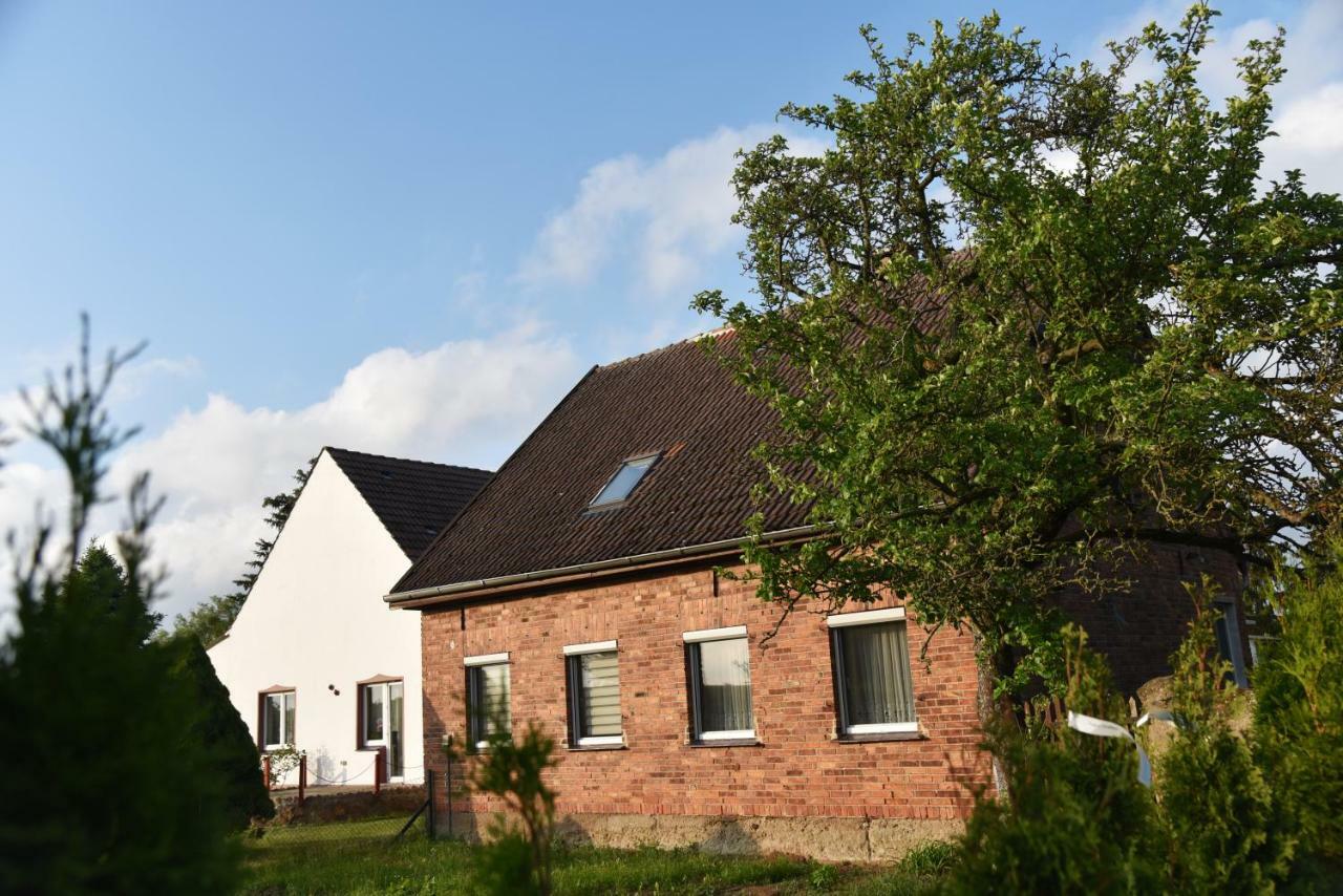 Wartin Ferienhaus Biene מראה חיצוני תמונה